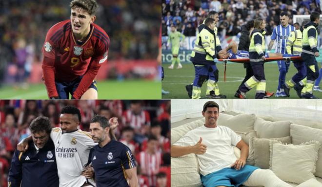 仅在体育界 仅在体育界